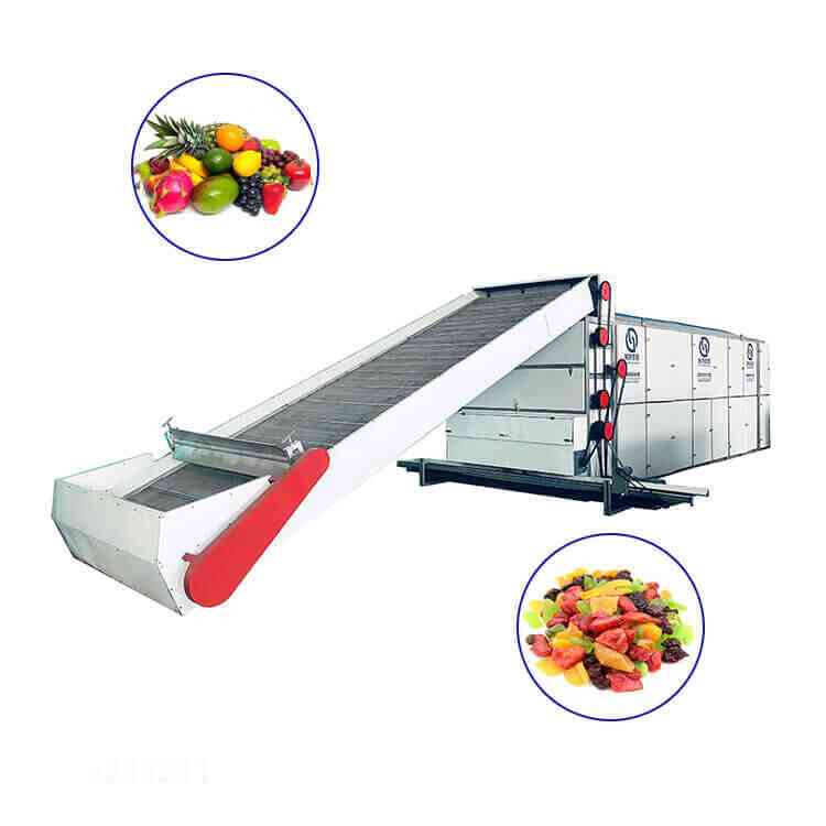 fruit continuous mesh belt dryer